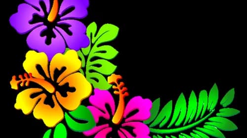 Varin Enterprises - Photo 5