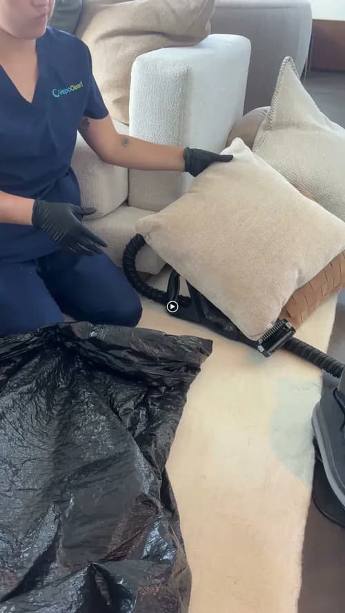 VepoClean Home Cleaning Service Manhattan NYC - Photo 3