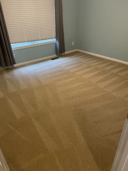 VesCo Residential Cleaning - Photo 2