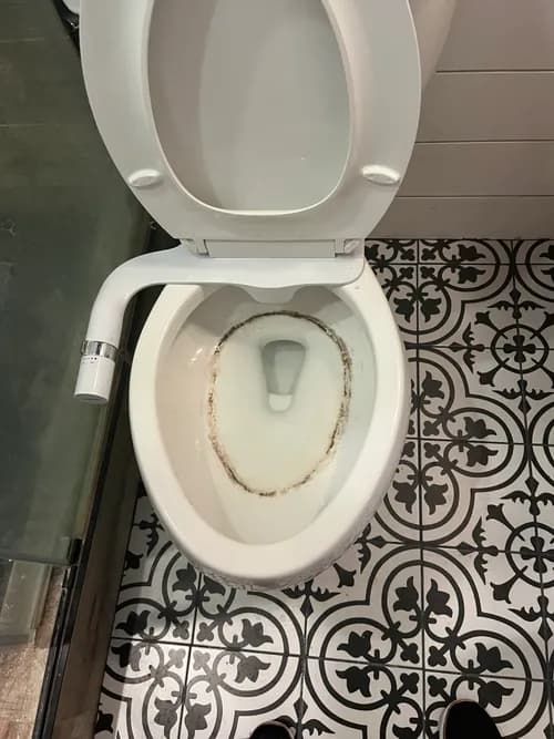 Viviana’s cleaning service - Photo 3