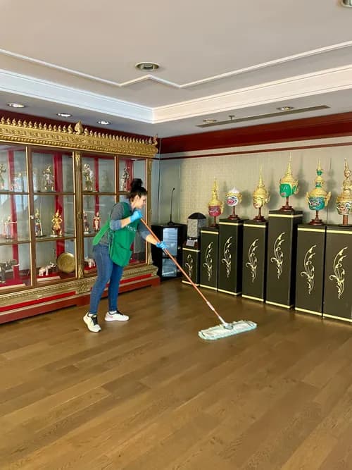 WellNest Professional Cleaning - Photo 2