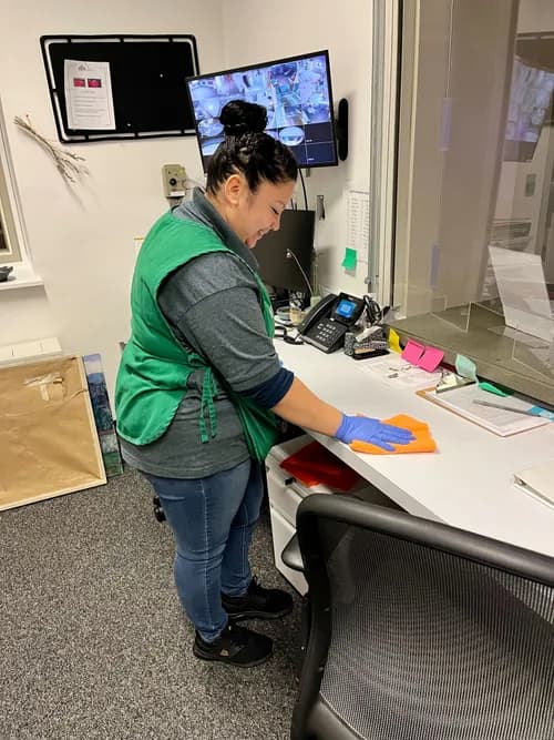 WellNest Professional Cleaning