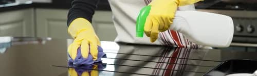 WellNest Professional Cleaning - Photo 5