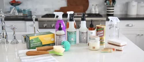 WellSpring Cleaning Company