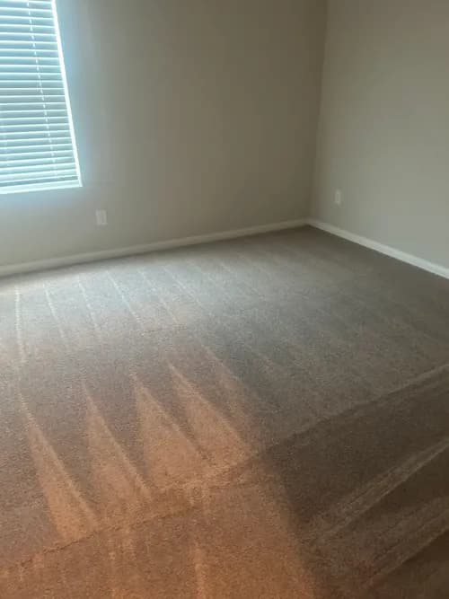 Wonder Maid House Cleaning - Photo 1