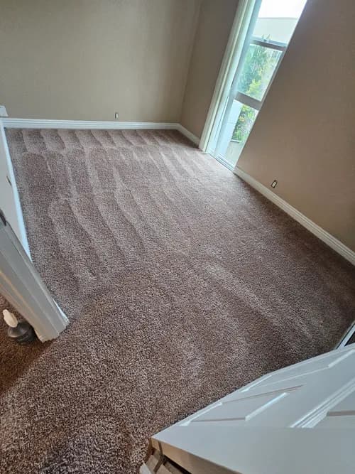 XLLNT Carpet Care
