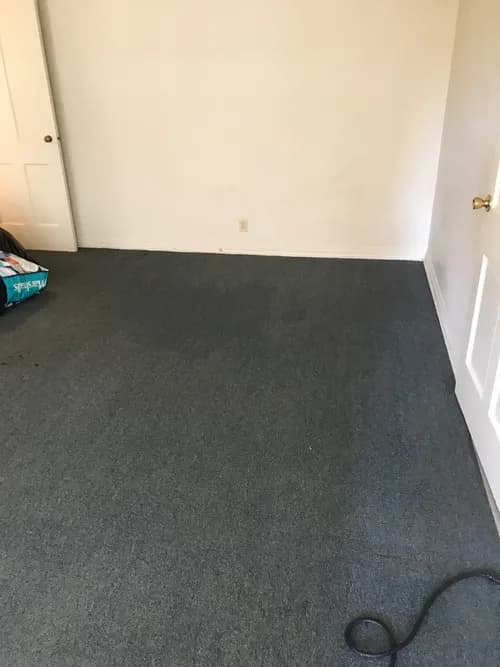 Yolanda's Maid - Photo 2