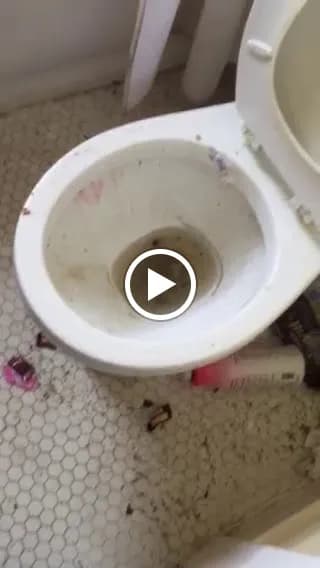 Yolanda's Maid - Photo 3