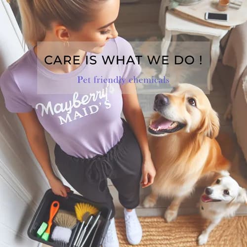 You Got It Maid - Photo 2