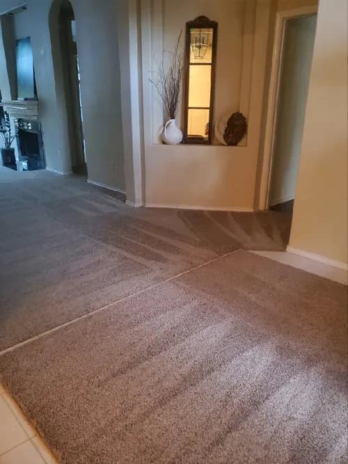 You've Got MAIDS of San Antonio - Photo 5