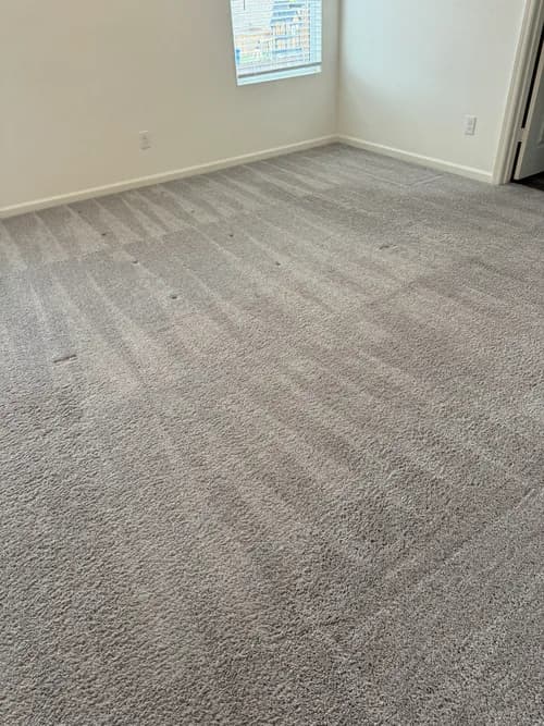 Zantiago cleaning services