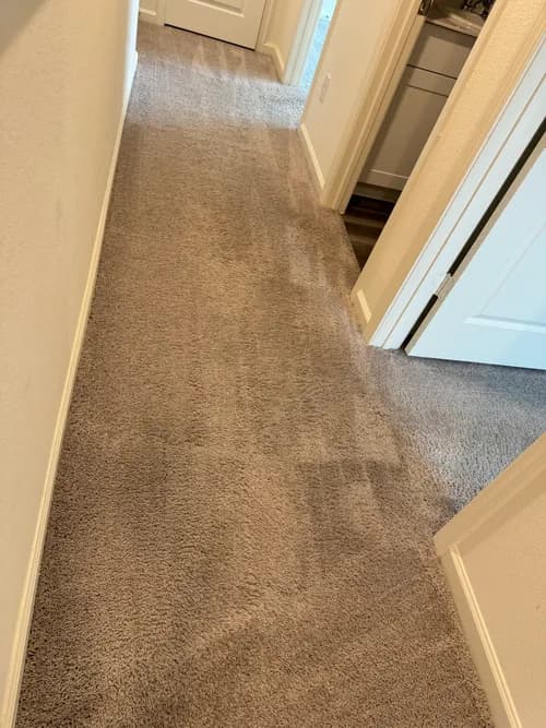 Zantiago cleaning services - Photo 3