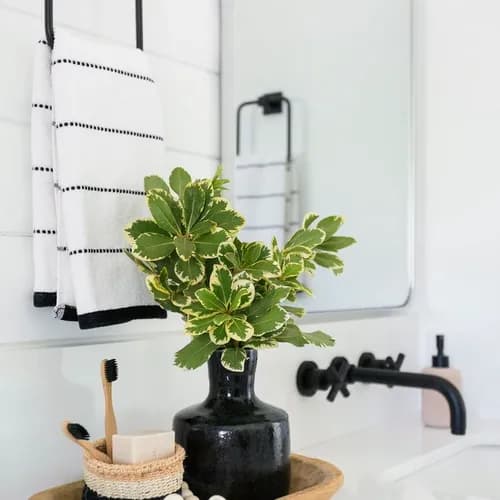 Zen Spaces, LLC. - Photo 3