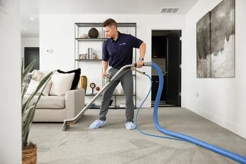 Zerorez Carpet Cleaning