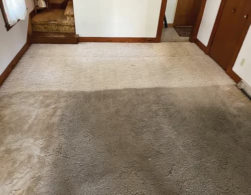 Zerorez Corpus Christi - Photo 2