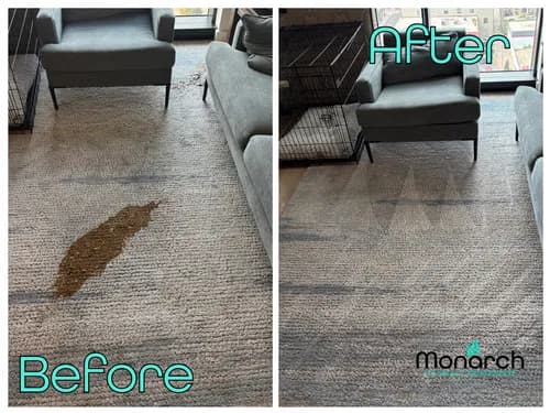 Zerorez KC - Photo 3