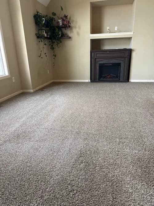 Zerorez KC - Photo 5