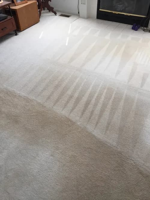 Zerorez KC - Photo 2