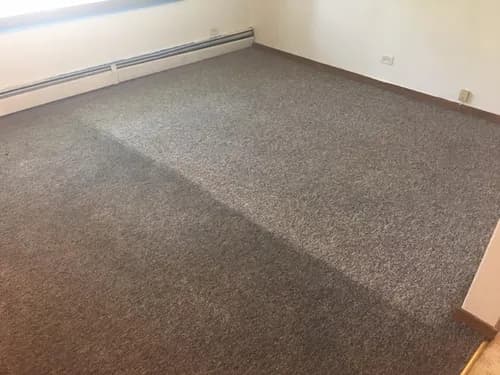 Zerorez Madison - Photo 1